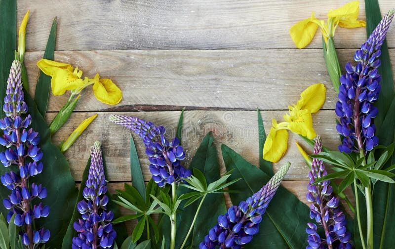 Piastra di flatellazione di primavera composta di ghisa gialla e di fiori di lupino blu e di foglie verdi su legno grezzo
