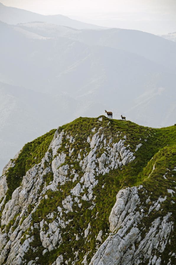 Piatra Craiului photo stock Piatra Craiului photo stock