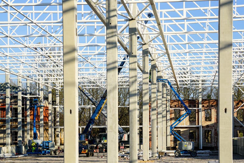 Biscotti Di Giunzione In Faggio - Conf. Mista 100 Pezzi Per Falegnameria E Mobili - Foto 5