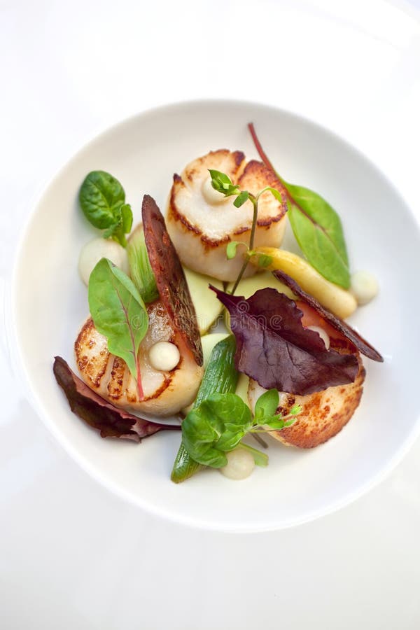 Piatto Di Saint Jacques Fotografia Stock Immagine Di Erbe