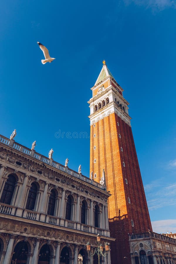 Piazza San Marco with Campanile. Venice, Italy. Campanile di Venezia located at Piazza San Marco, Italy