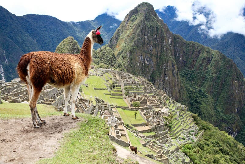 picchu Перу machu стоковая фотография picchu Перу machu стоковая фотография