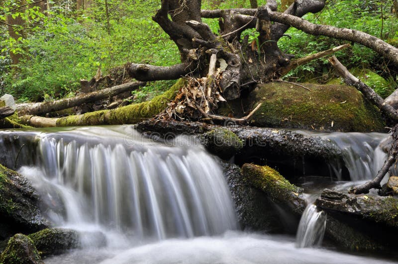 Piccola cascata su una sorgente pacifica della montagna immagine stock libera da diritti Piccola cascata su una sorgente pacifica della montagna immagine stock libera da diritti
