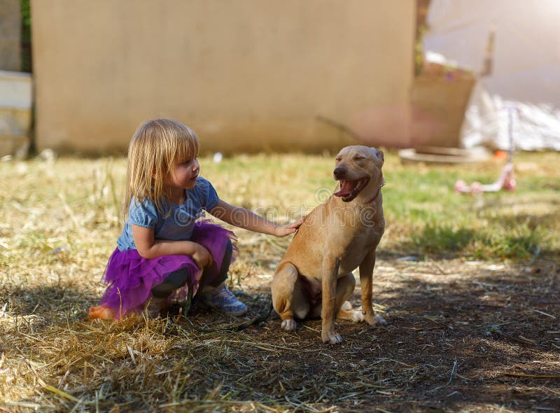 Piccola ragazza bionda con il suo cane del documentalista fotografia stock libera da diritti Piccola ragazza bionda con il suo cane del documentalista fotografia stock libera da diritti