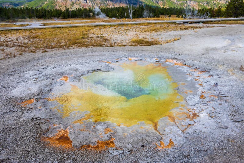 Piccola sorgente di acqua calda gialla e verde nel parco nazionale di Yellowstone fotografie stock libere da diritti Piccola sorgente di acqua calda gialla e verde nel parco nazionale di Yellowstone fotografie stock libere da diritti
