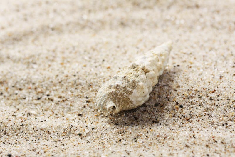 Piccole coperture sulla sabbia dal mare immagine stock libera da diritti Piccole coperture sulla sabbia dal mare immagine stock libera da diritti