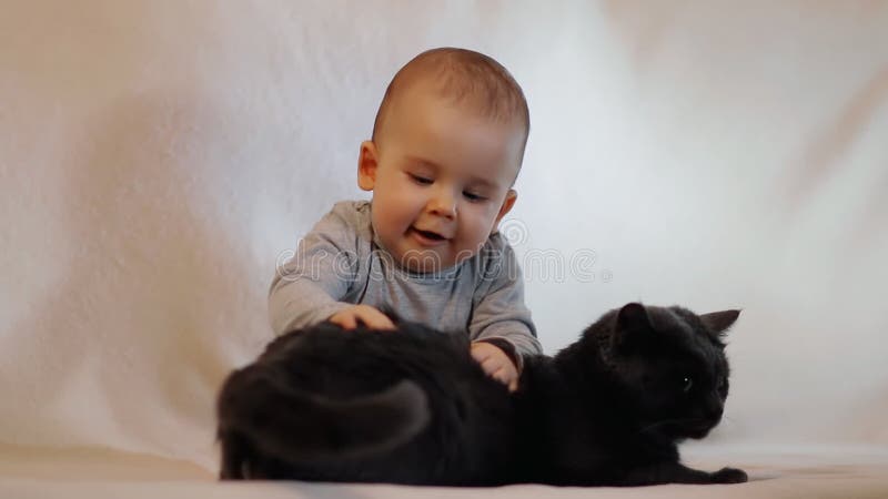 Piccolo bambino allegro curioso che gioca con un gatto