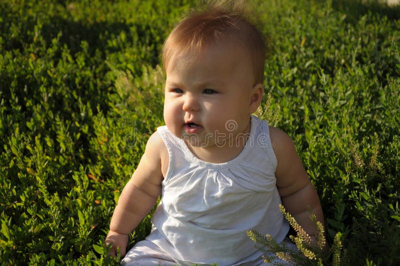 Piccolo bambino con le guance grasse dolci fotografie stock libere da diritti Piccolo bambino con le guance grasse dolci fotografie stock libere da diritti