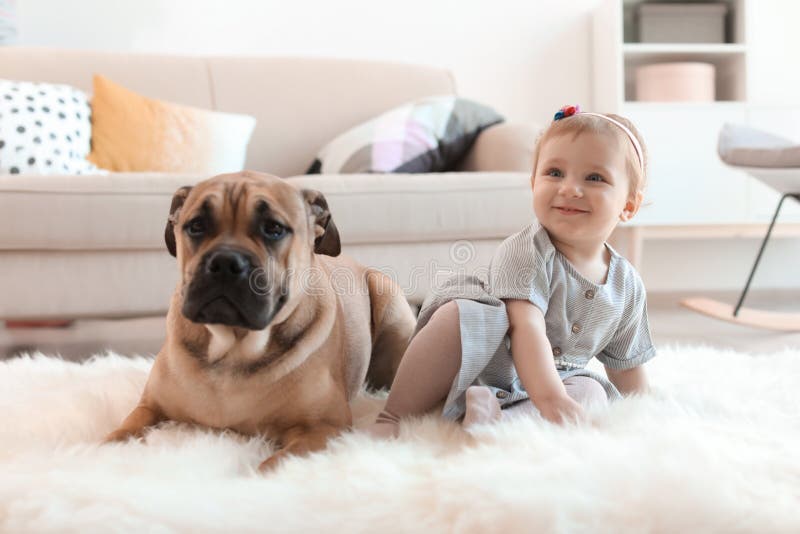 Piccolo bambino sveglio con il cane fotografia stock Piccolo bambino sveglio con il cane fotografia stock