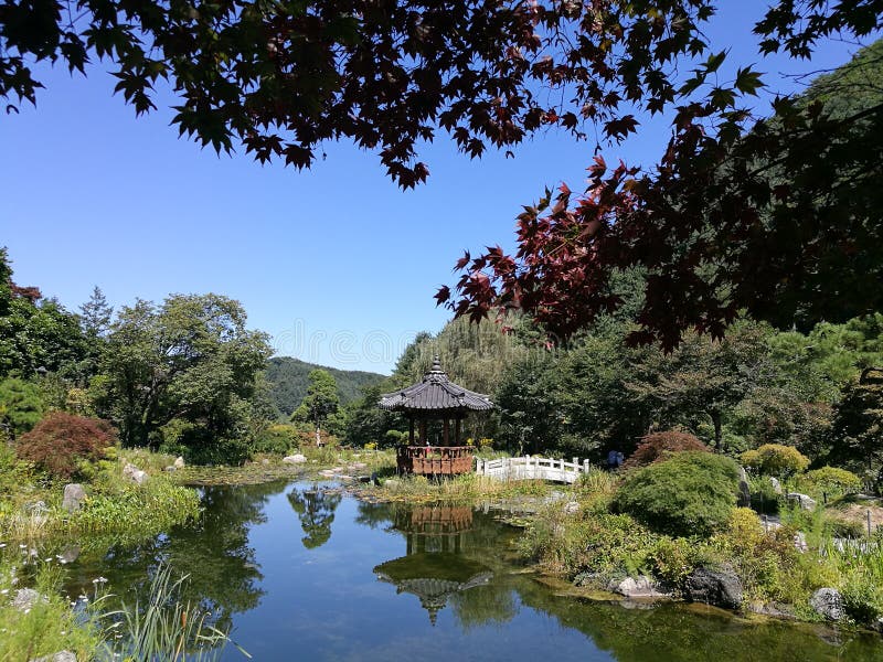Piccolo stagno con il relection del padiglione nel giardino coreano di stile immagine stock libera da diritti Piccolo stagno con il relection del padiglione nel giardino coreano di stile immagine stock libera da diritti