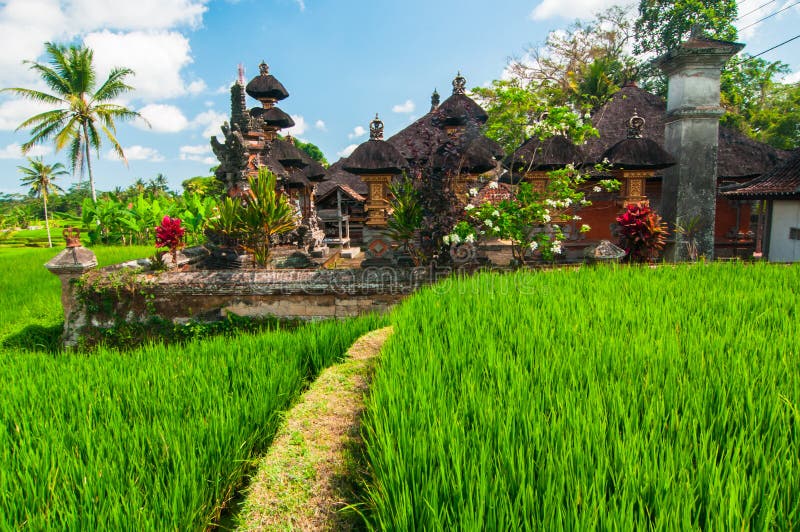 Piccolo tempiale al terrazzo del riso, Bali, Indonesia fotografie stock Piccolo tempiale al terrazzo del riso, Bali, Indonesia fotografie stock