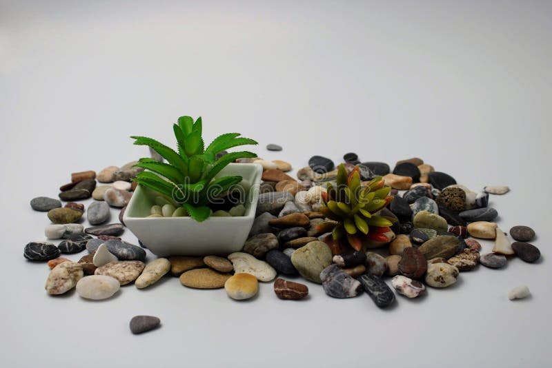 Small flowerpot with green leaves plant and stones. Small flowerpot with green leaves plant and stones