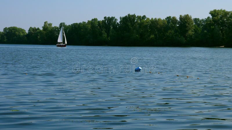 Piccolo yacht di navigazione sul fiume il giorno di estate