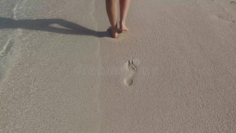 Picioare femele mergând pe plajă nisipoasă cu urme de pași stock video footage