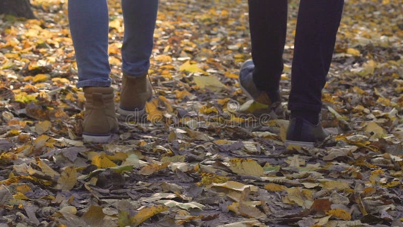 Picioarele masculi și femele care merg încet în parc toamna lasă o dată de plimbare dimineața stock video