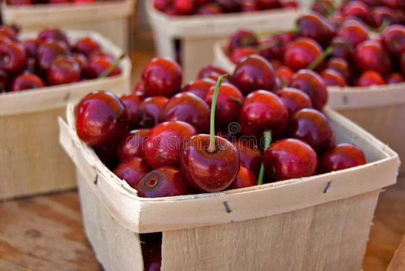 ripe red Michigan cherries in wood box