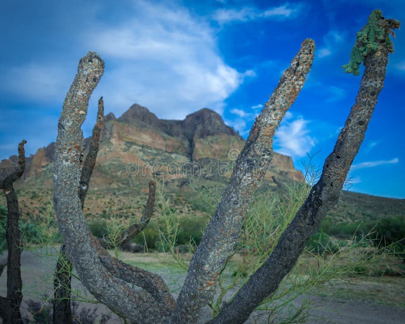 Picket Post Mountain stock photo. Image of mountain, arizona 72811208