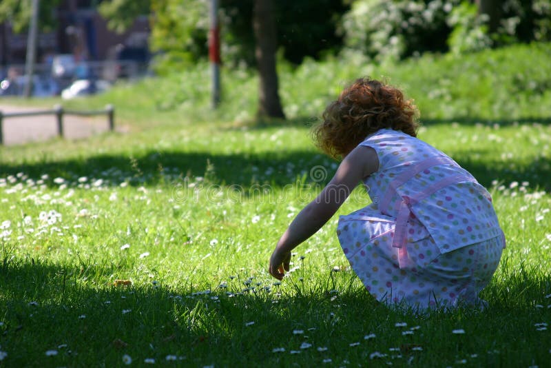 Picking Daisies stock photo. Image of face, curly, angel 2135874