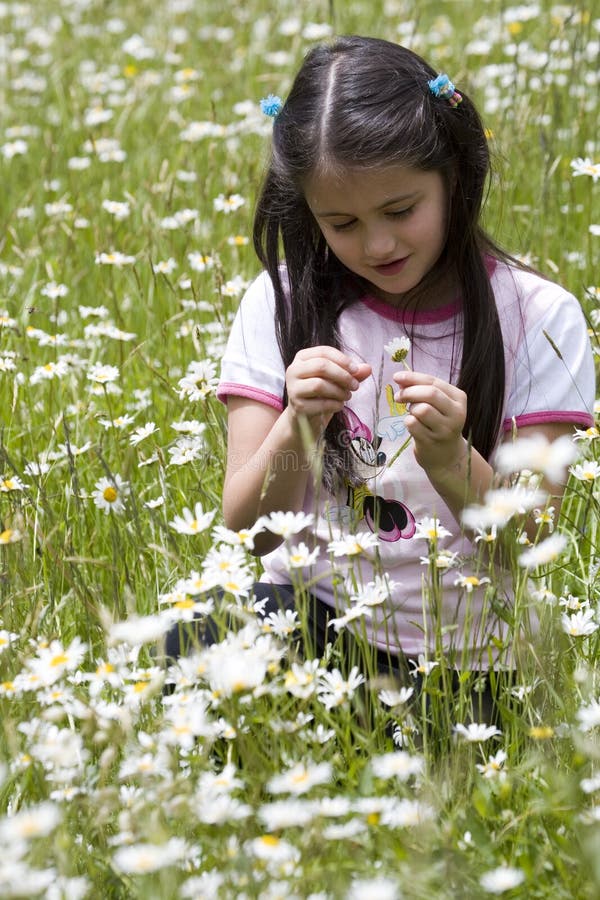 Picking Daisies