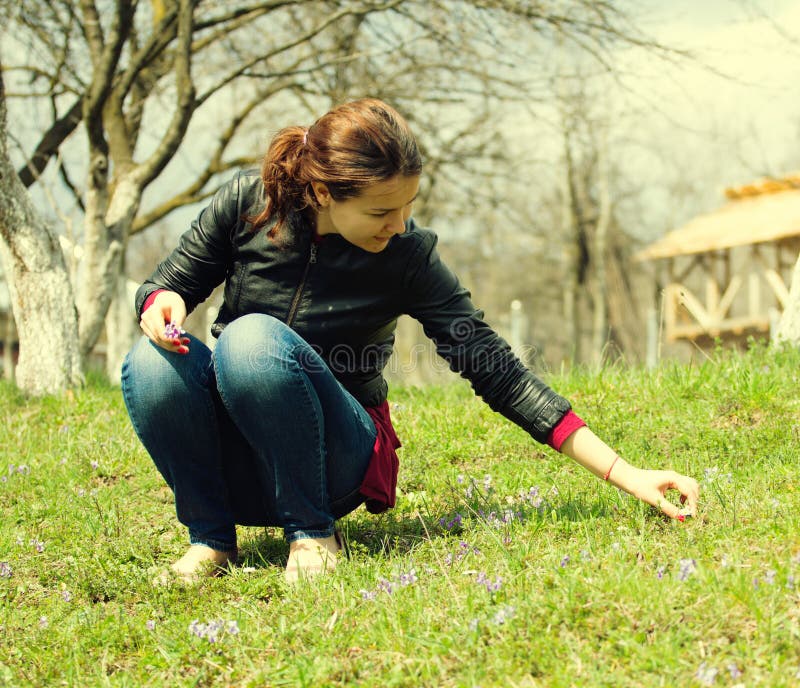 Picking Flowers from Garden Stock Image Image of nature, spring 31139435
