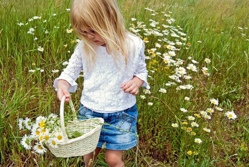 Picking Wildflowers stock photo. Image of daisy, lace 10948598