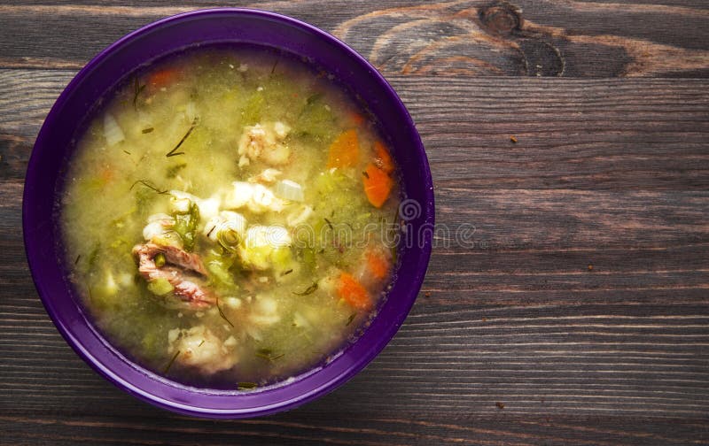 Pickle soup .healthy soup stock photo. Image of delicious 91046602