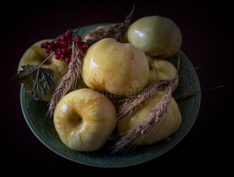 Pickled apples stock image. Image of pickled, pickles 64043621