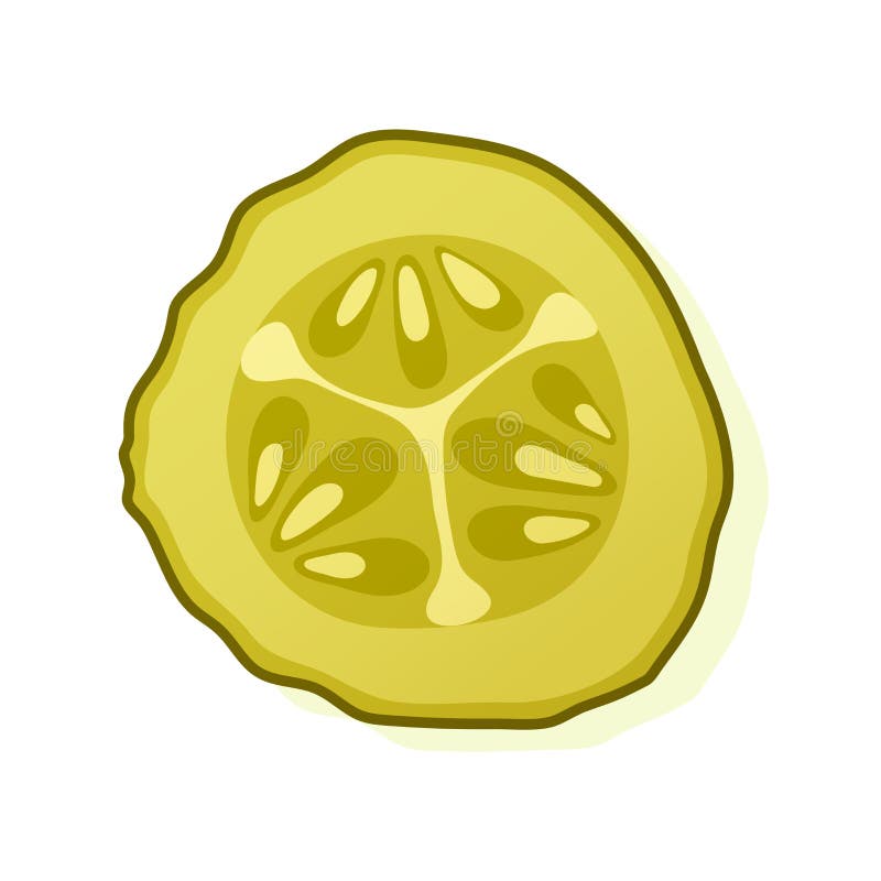 Pickled cucumber slice isolated on white background. Marinated pickled cucumber isolated. Vector Illustration vector illustration Pickled cucumber slice isolated on white background. Marinated pickled cucumber isolated. Vector Illustration vector illustration