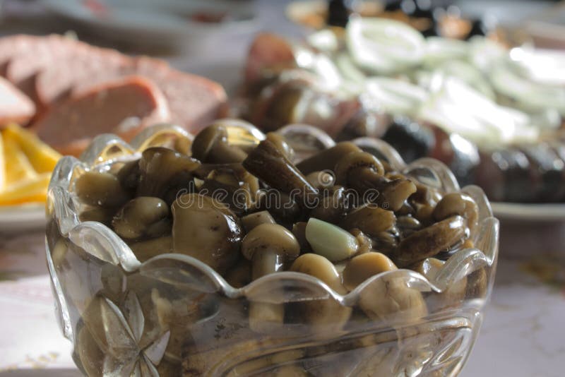 Pickled Mushrooms Honey Agarics Stock Image Image of gourmet, salted