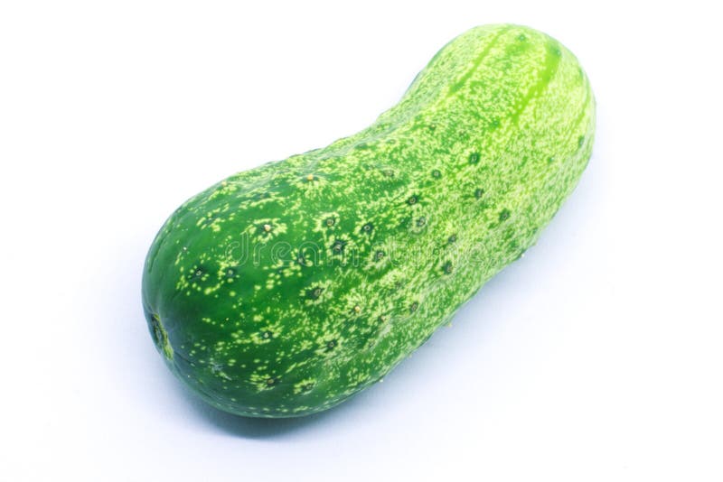 1,979 Pickling Cucumber White Stock Photos Free & RoyaltyFree Stock Photos from Dreamstime