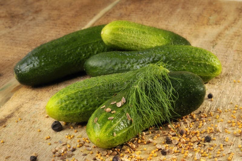 Pickling cucumbers