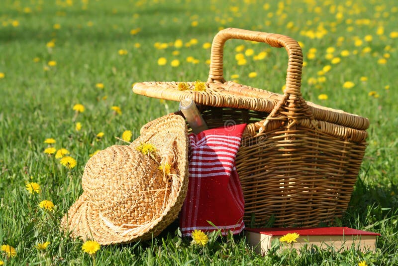Picknick auf dem Gras stockbild