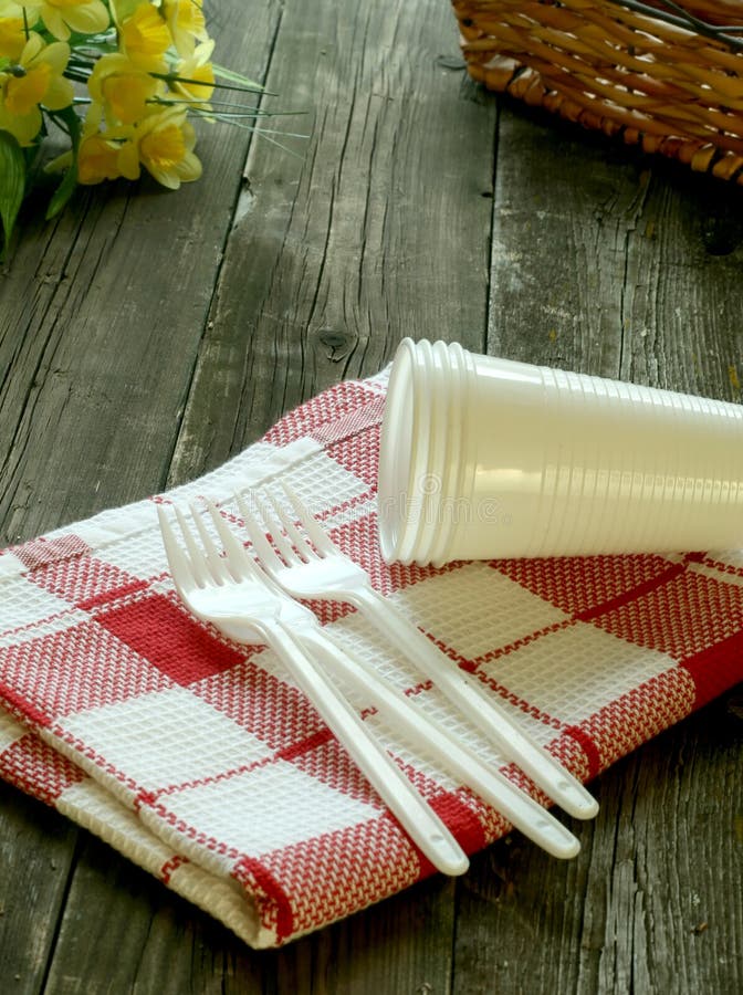 Picknick, Plastikdishware und Serviette auf hölzernem