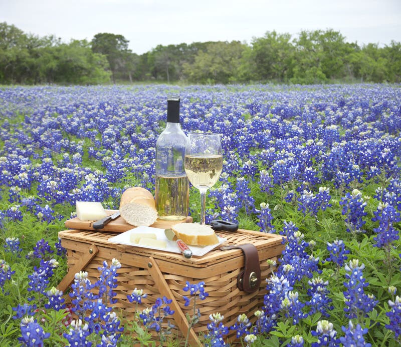 A brown wicker picnic basket with wine, cheese, bread and utensils in a field of Texas Hill Country bluebonnets. A brown wicker picnic basket with wine, cheese, bread and utensils in a field of Texas Hill Country bluebonnets