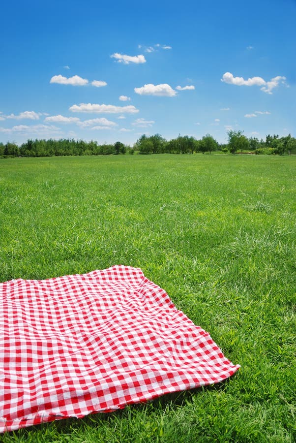 Picnic cloth on meadow. stock photo. Image of relaxation 11360884