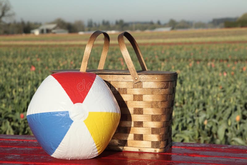 Picnic Basket, Beach Ball In Meadow Stock Image Image of picnic