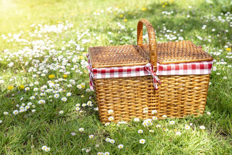Picnic Basket on Green Grass Stock Image - Image of outside, grass ...