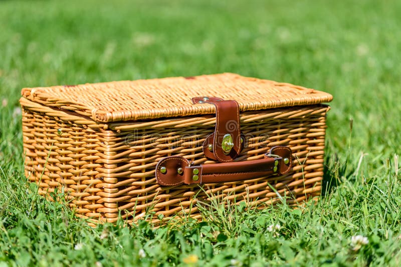 Picnic Basket Hamper in Green Grass Stock Image Image of close