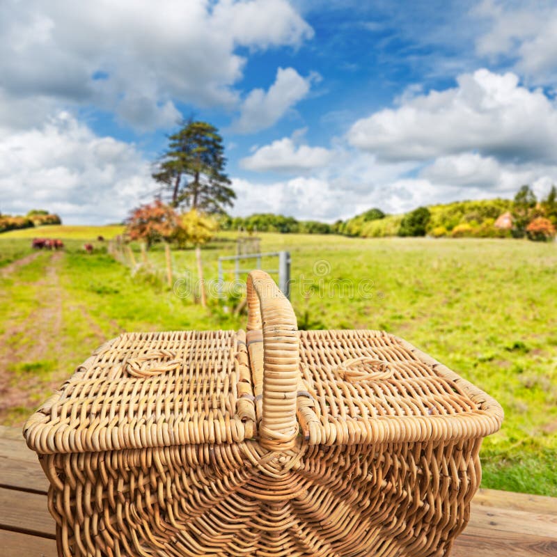 Picnic basket on step stock image. Image of sunlight 21453045