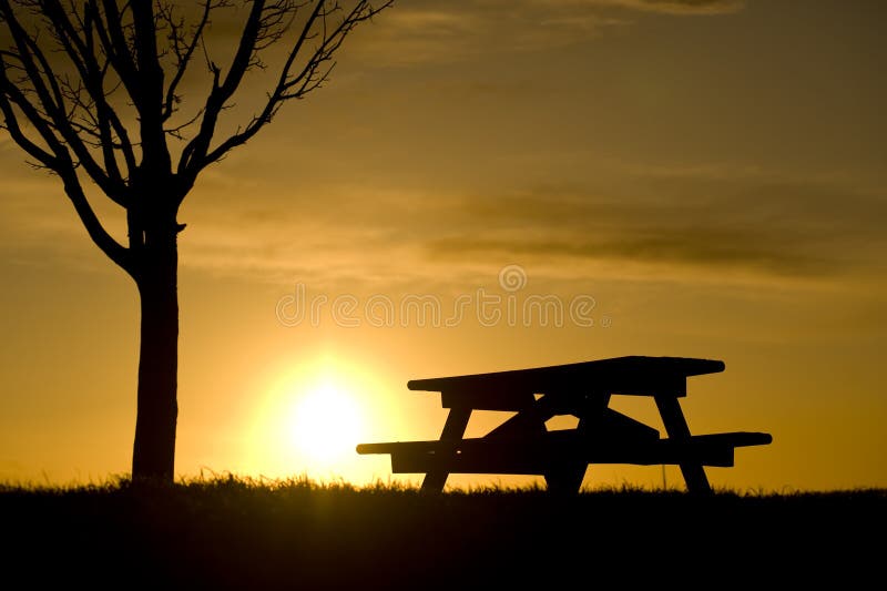 Picnic Bench Under Tree Silhouetted at Sunset