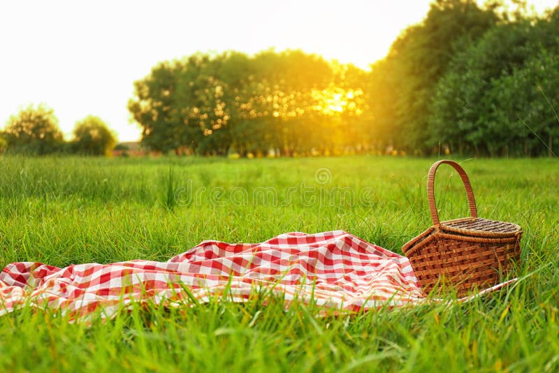 Picnic blanket and  on grass in park