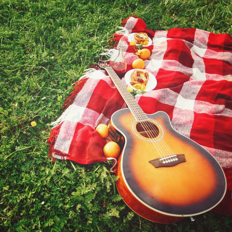 Picnic con musica della chitarra su erba fotografie stock Picnic con musica della chitarra su erba fotografie stock