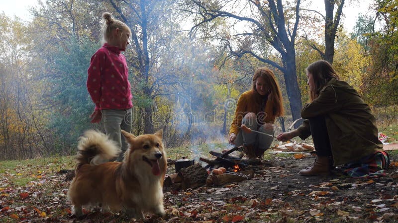 Picnic della famiglia di autunno stock footage