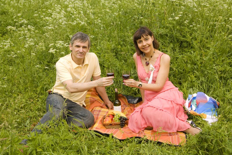 Picnic on grass stock photo. Image of landscape 16951080