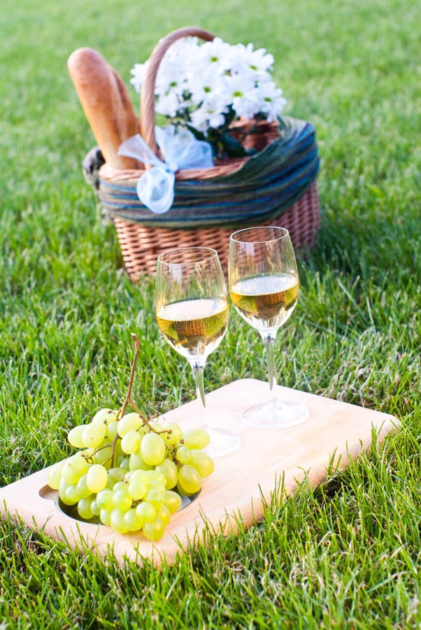 Picnic on the grass stock photo. Image of lawn, summer 21119290