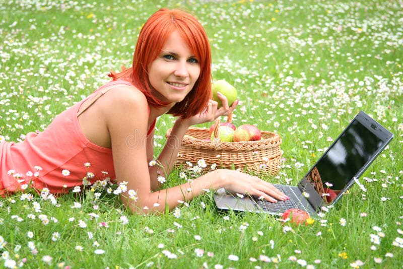 Picnic with laptop
