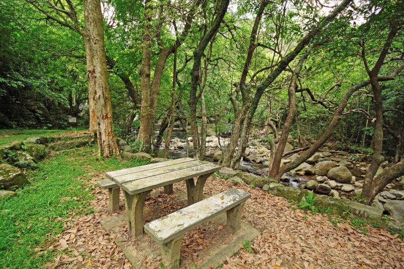 Picnic place in forest stock image. Image of field, hong - 24296575