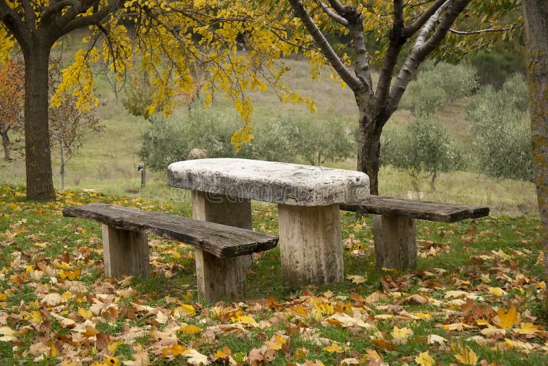 Picnic place in a forest stock photo. Image of leaf, garden - 21745364