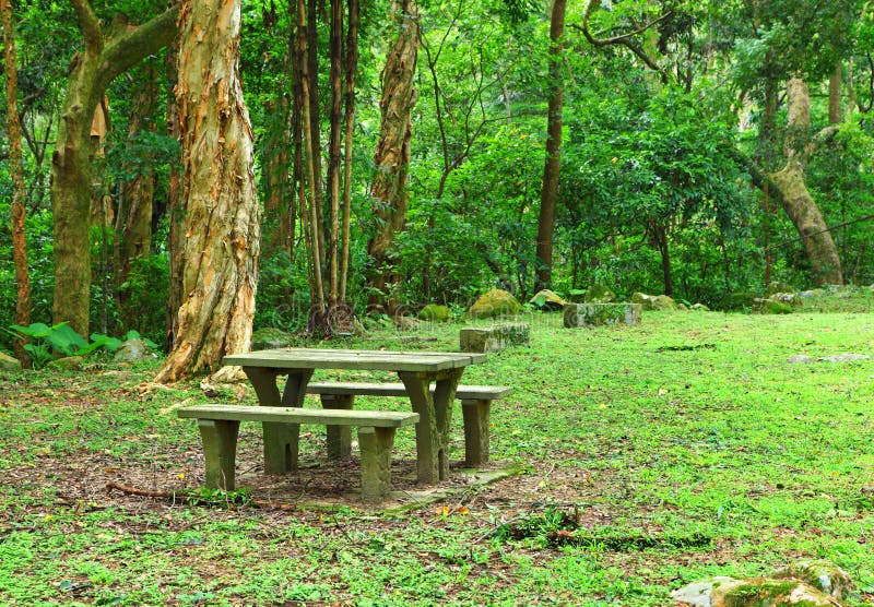 Picnic place in forest stock image. Image of brown, path - 30716925