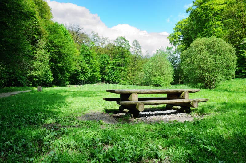 Picnic Place In Forest Opening Stock Image - Image of plant, nature